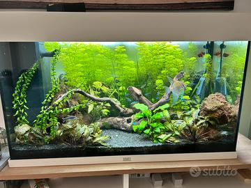 Acquario juwel rio 125