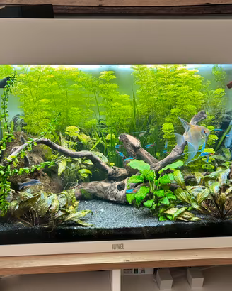 Acquario juwel rio 125