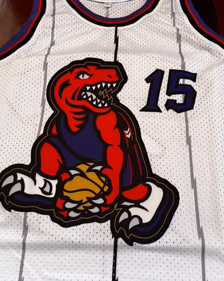 NBA Jersey Vince Carter 15 Toronto Raptors Canotta