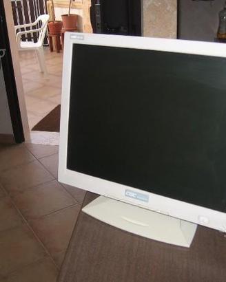 Monitor lcd