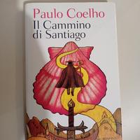 Il cammino di Santiago 