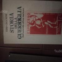 Storia della guerriglia