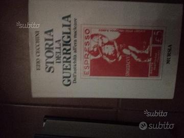 Storia della guerriglia