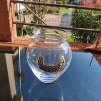 vaso in cristallo 
