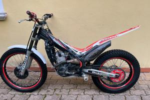 beta evo 300