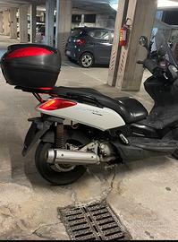 Xmax 250