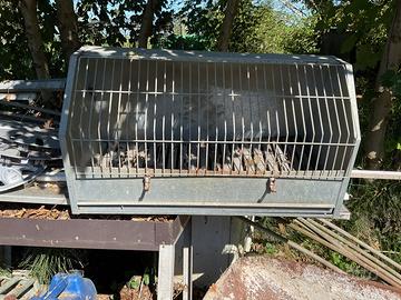 Trasportino per cani