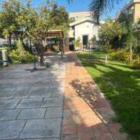 Locale artigianale con terreno a gravina