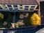 Immagine 14