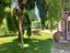 Immagine 11