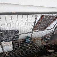 Rete letto mezza piazza