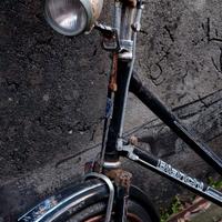 Bianchi '26 donna