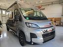 roller-team-livingstone-5-sport-limited