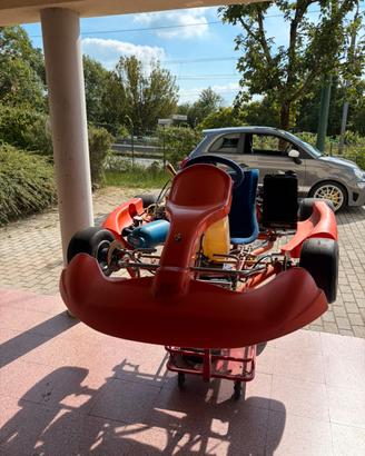 Birel ART