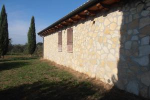 Rif.AA-T20| terreno agricolo scarlino