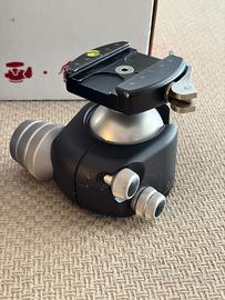 Testa a sfera BH-55 LR Really Right Stuff RRS