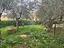 Immagine 22