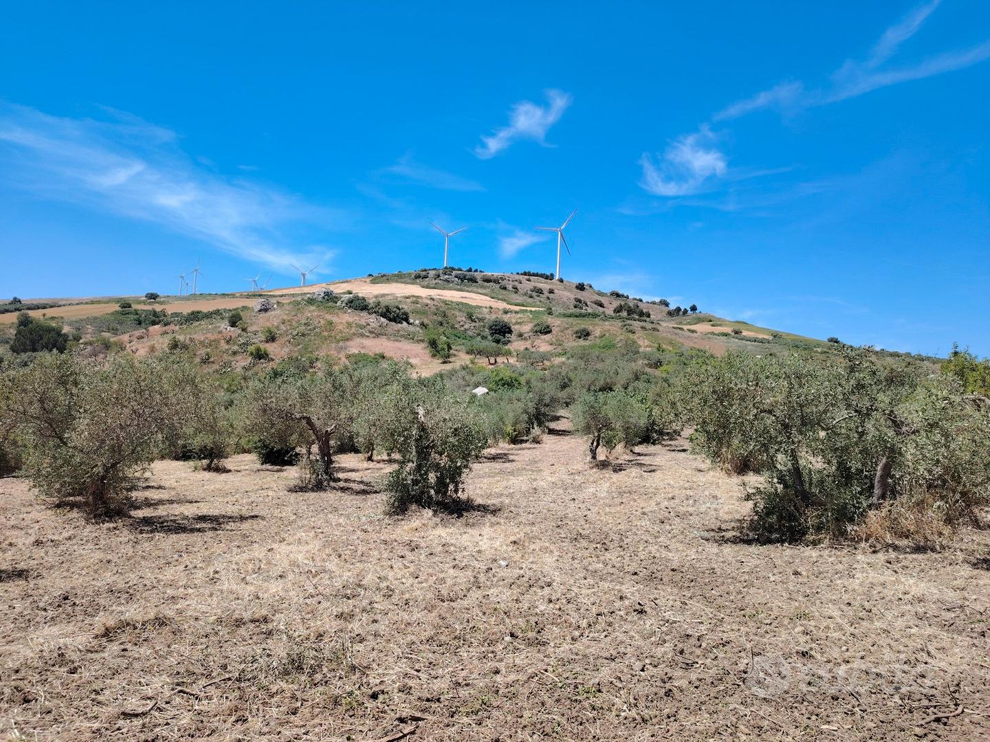 Uliveto - Terreno edificabile - Vista 3