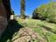 Immagine 27