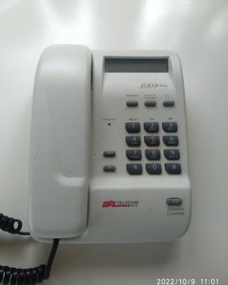 Telefono fisso e cordless