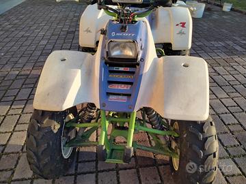 Kawasaki Altro modello