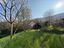 Immagine 14