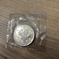 Dollaro canadese argento puro 999