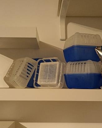 Ariasana umidità, ricariche, assorbiumidità