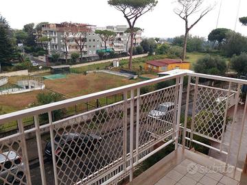 Afitto stanza studenti