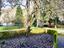 Immagine 30
