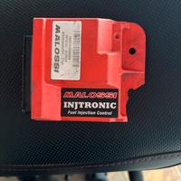 centralina malossi liberty euro 4