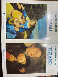 I Maestro del colore