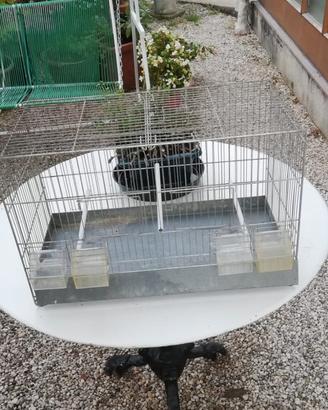 Gabbia per uccellini 