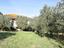 Immagine 29