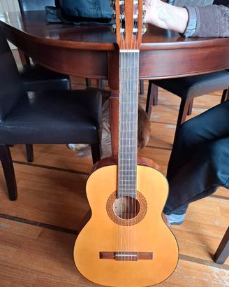 Ferrarotti Chitarra  