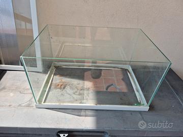 terrario di vetro 