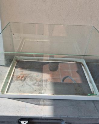 terrario di vetro 
