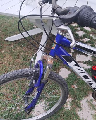 Bici bambino 24’’