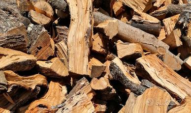 Legna di ulivo per pizzeria, forni e stufa