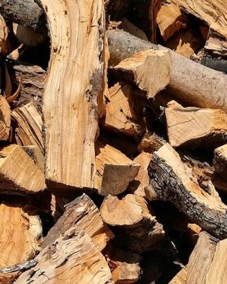 Legna di ulivo per pizzeria, forni e stufa