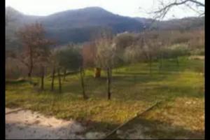 Terreno ( loc.Pozzovetere di Caserta)