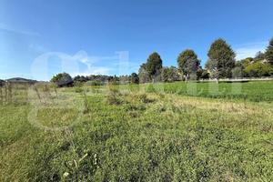 Terreno Residenziale Bra [Rif. 25048VRG]