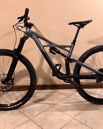 Specialize Enduro