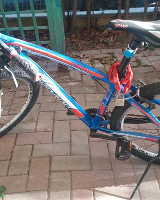 bici tornado blu