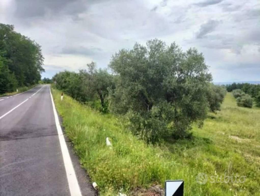 Immobile in asta di 23396 m² a Ficulle - Vista 4