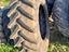 Immagine 5