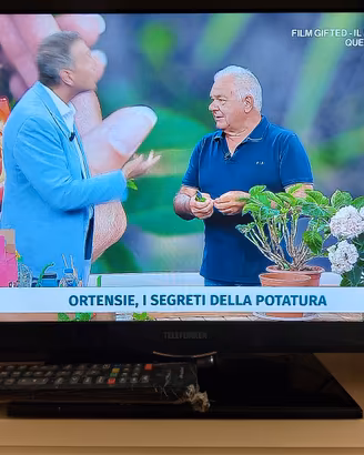 Tv Telefunken 24" no smart RITIRO su Roma 