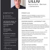 Barista colazioni- Barman