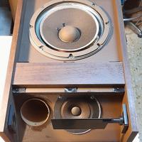 casse diffusori altoparlanti tweeter Bose 301