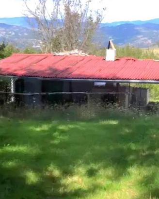 Immobile con 1757 mq di terreno